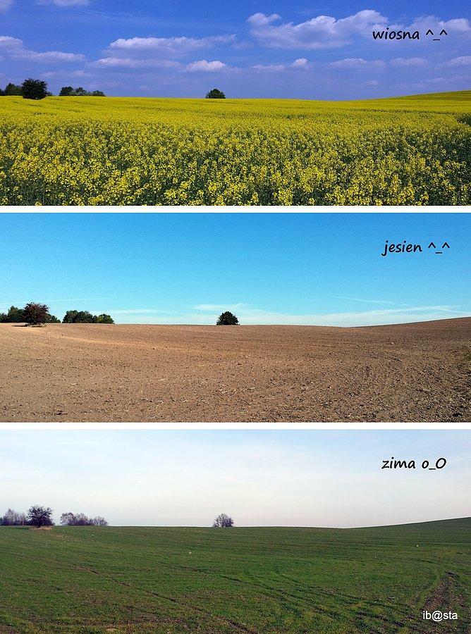 Wiosna, jesień, zima ?! ;)