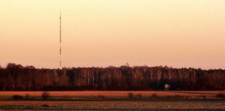 Maszt radiowo-telewizyjny "RTCN Raszyn" w Łazach, swego czasu najwyższa konstrukcja w Europie - dzisiaj najwyższa konstrukcja na Mazowszu (335 m)