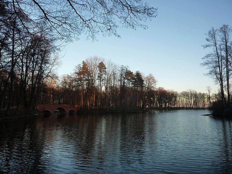 Park w Młochowie