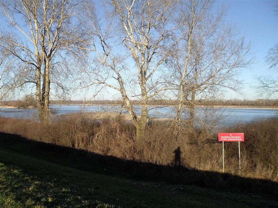 Rezerwat przyrody Wyspy Zawadowskie