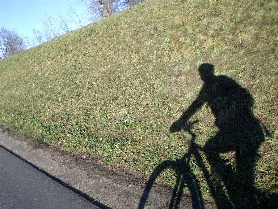Niskie słońce z lewej - znaczy na północ jedziemy