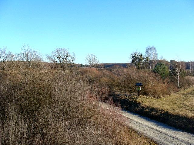 Widok z wieży