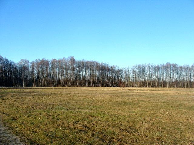 Obszar Natura 2000 "Ostoja Poleska"