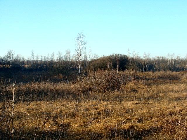 Uroczysko "Laski"