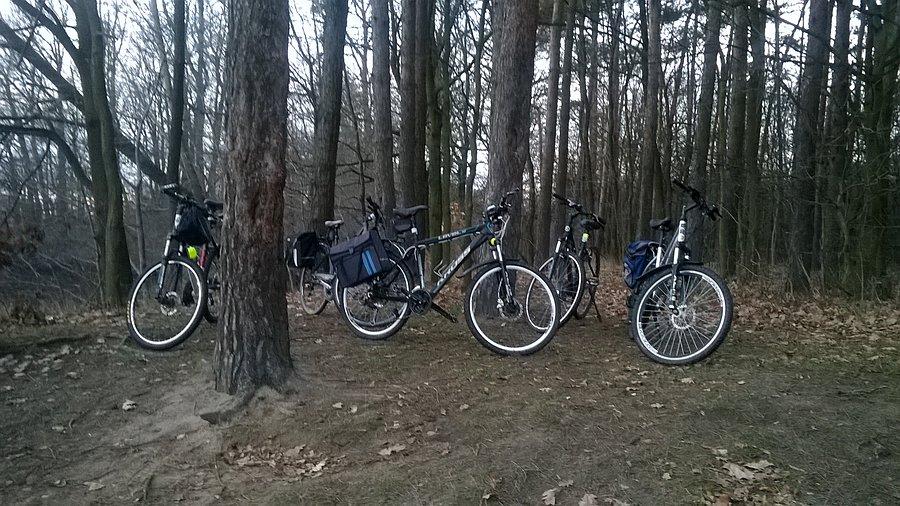 Chociaż raz w roku w kupie