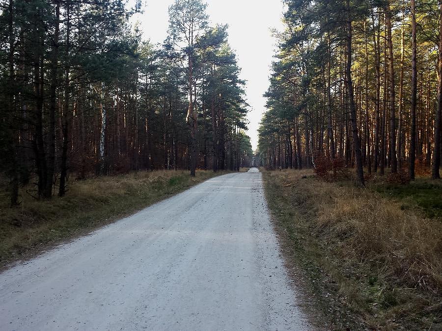 Główna droga z Sowna do Wielgowa