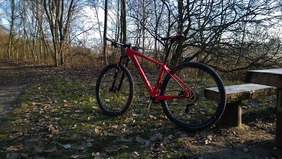 Test koła 29