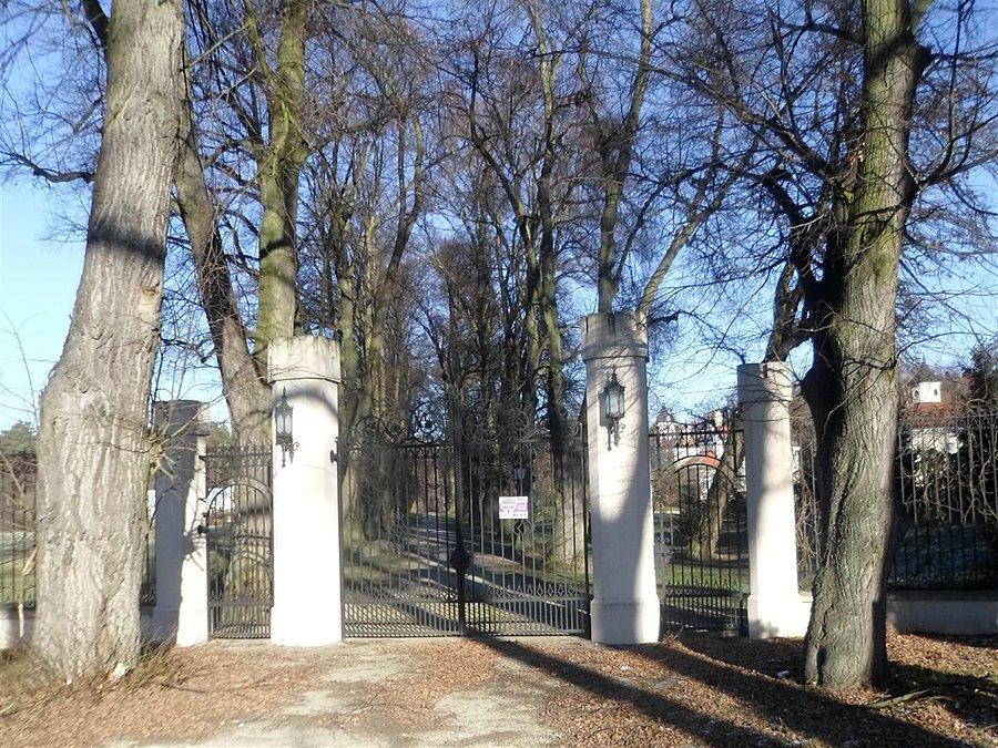 Zosin - pomnik przyrody aleja lipowa