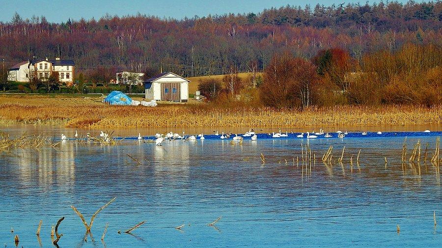 Sylwestrowy toast w Sobowidzu - 2015 r.Szczerbięcin