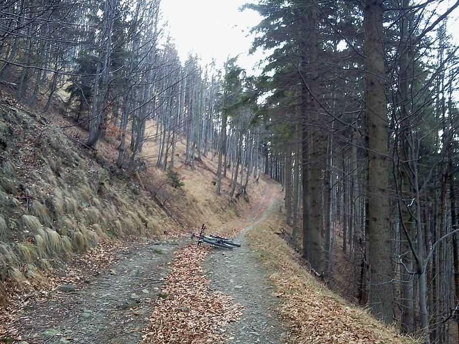 Na podjeździe