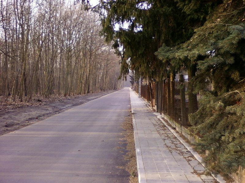 Jaworowa