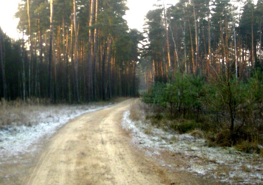 Skromna, zimowa biel