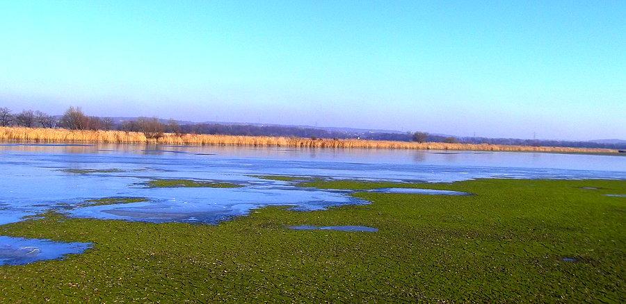 Wielikąt, Lubomia