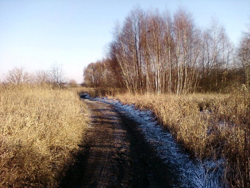 Przez podmokłą łąkę