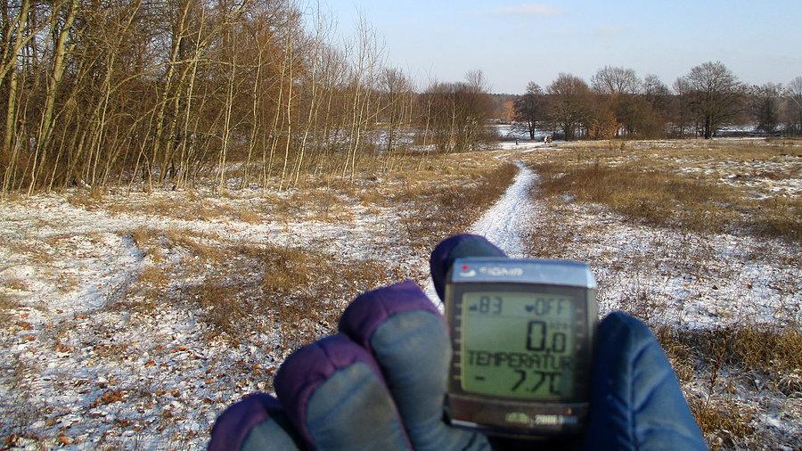 Zimowo nad Rusałką