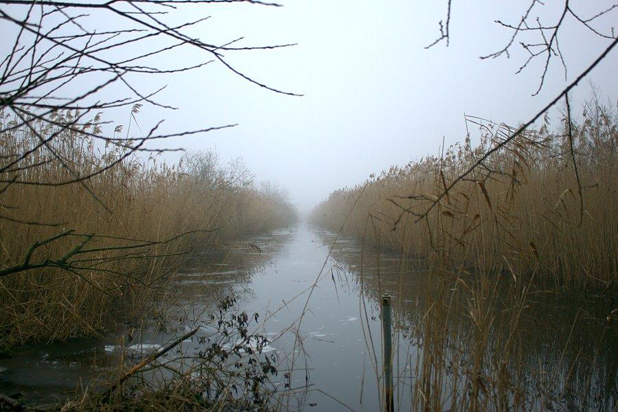 Zamglone Świdwie