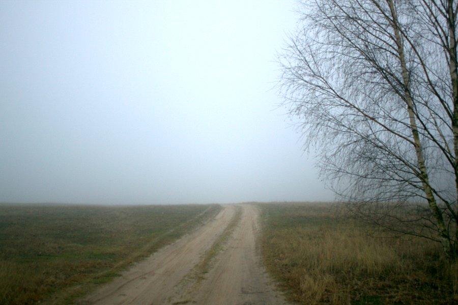 W drodze powrotnej