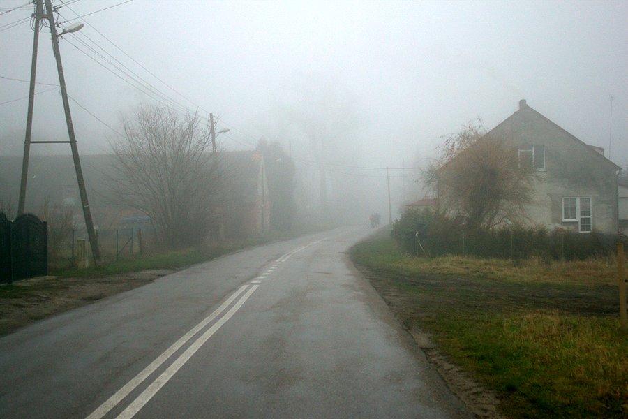 W drodze powrotnej