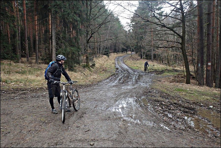 Podsumowanie- marzec 2015