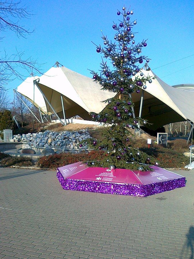 Choinka jeszcze stoi