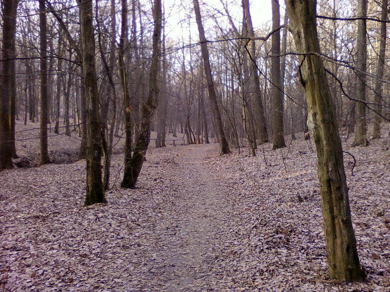 Las Łagiewnicki
