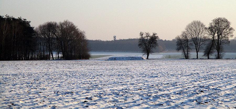 W oddali wieża na Osowej Górze