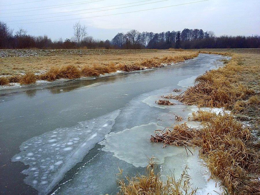 Warta w zimowym uścisku