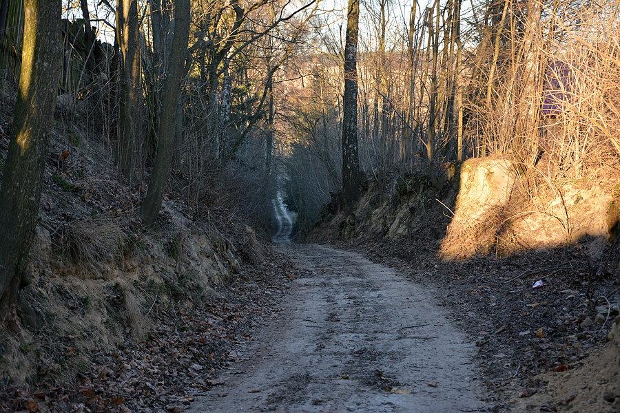 Zjazd w okolicach Dzierzkowic