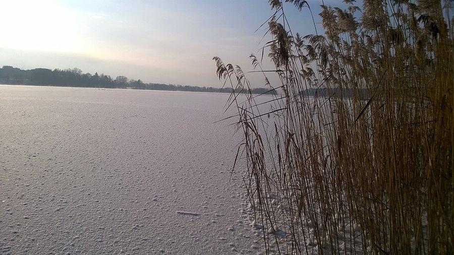 2 metry od brzegu, dalej się nie odważyłem