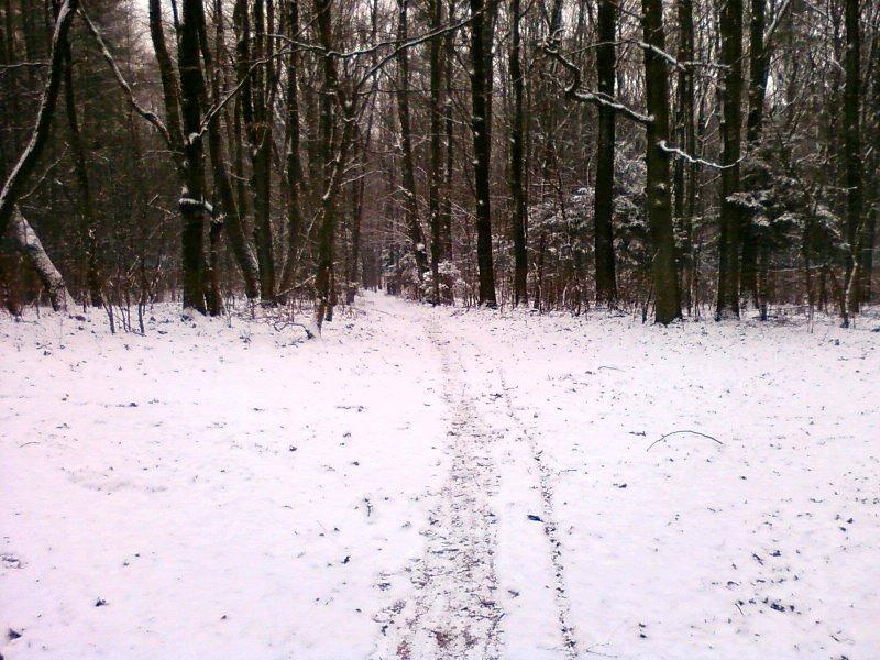 Wyjeżdżona ścieżka