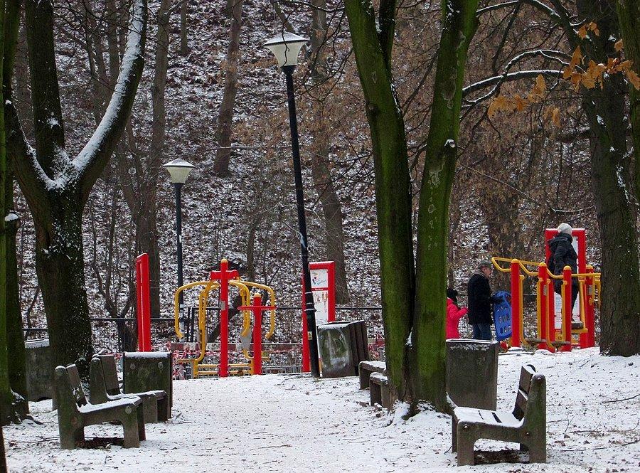 Siłownia plenerowa