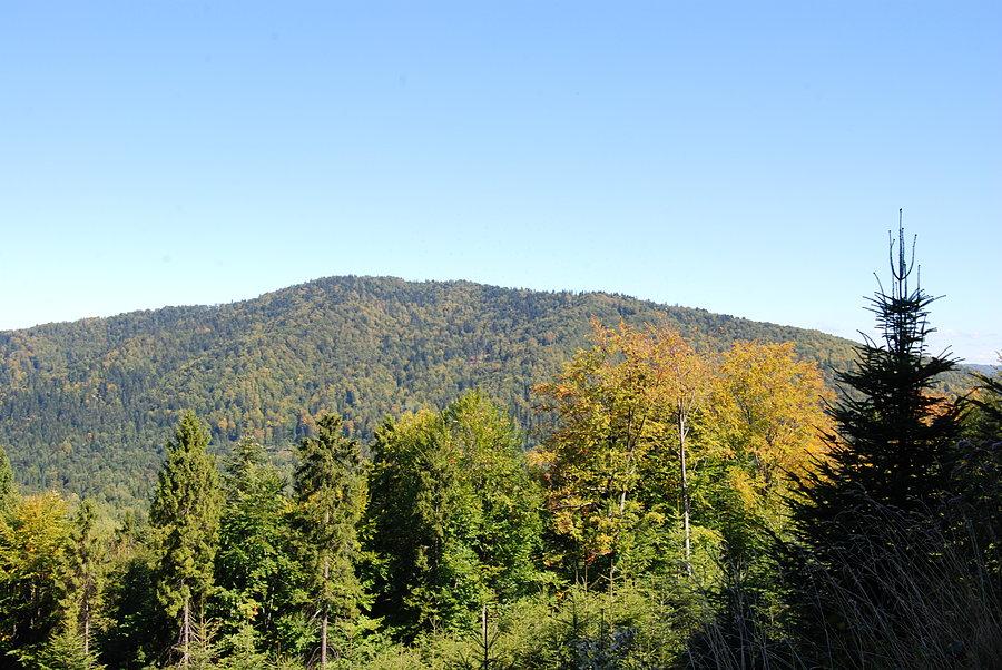 Widok na Łopiennik