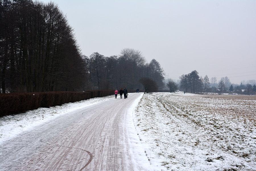 DDR prowadząca nad Zalew Zemborzycki