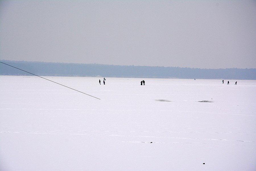 Chodzący po wodzie na Zalewie Zemborzyckim