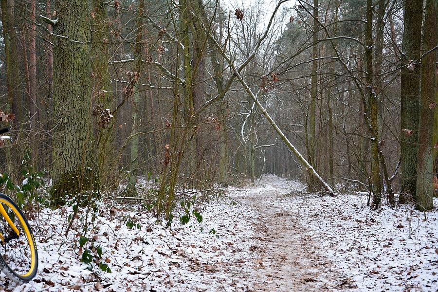 Dąbrowa nad Zalewem Zemborzyckim