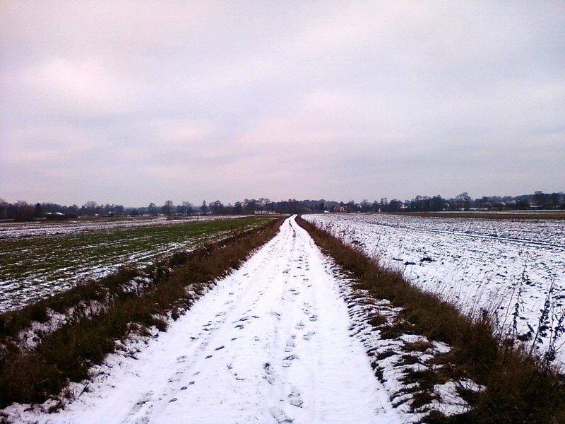 Pola za Złotnem