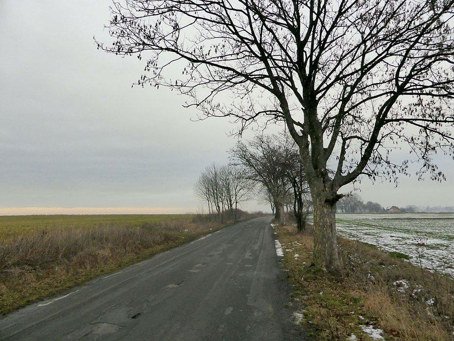 Szaro jakoś tak