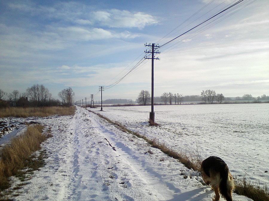 Zimowo z Dianą