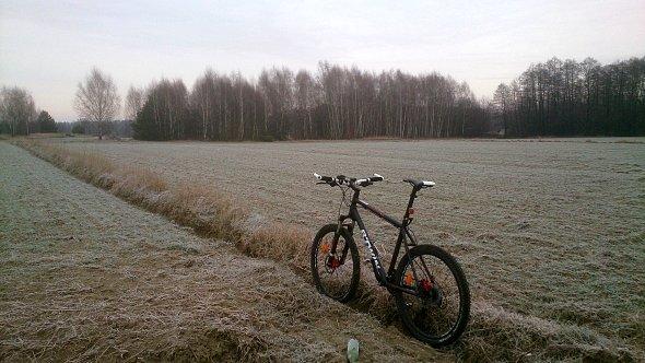 Gdzieś w polu