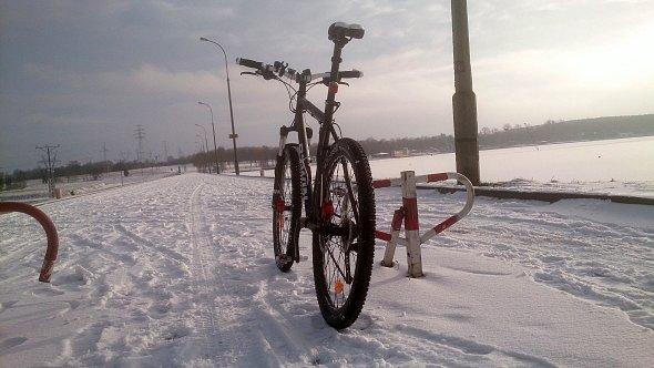 Rower nad Zalewem