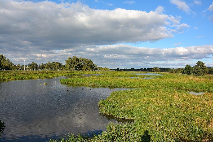 Południowy kraniec Zalewu Zemborzyckiego