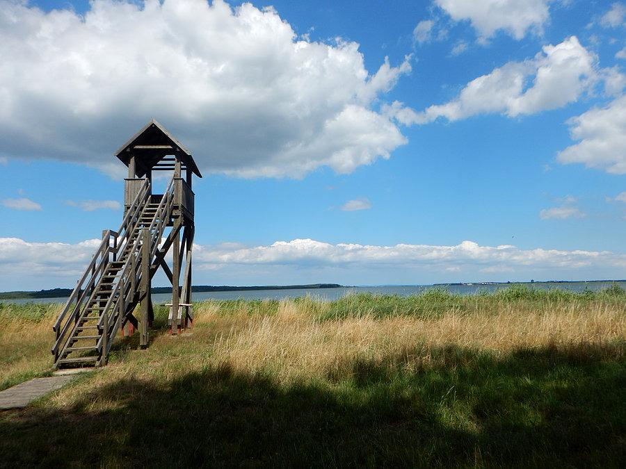 Punkt widokowy nad jeziorem Nowowarpieńskim