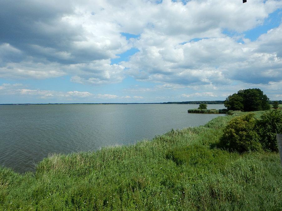 Widok z góry