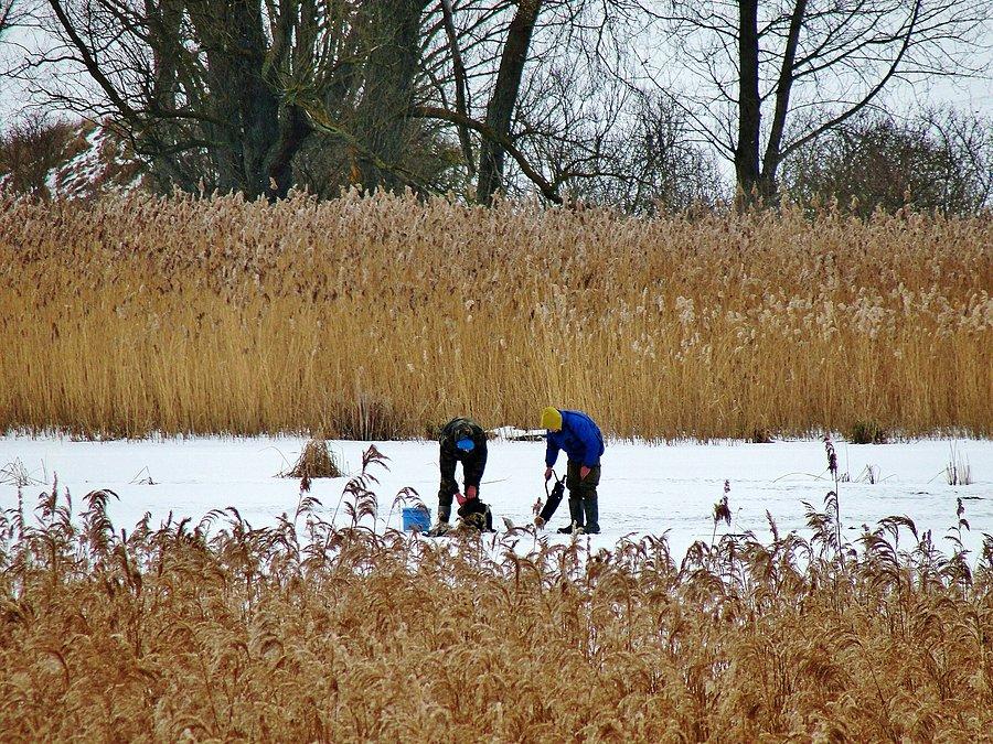 Zimowe klimaty - okolice Tczewa