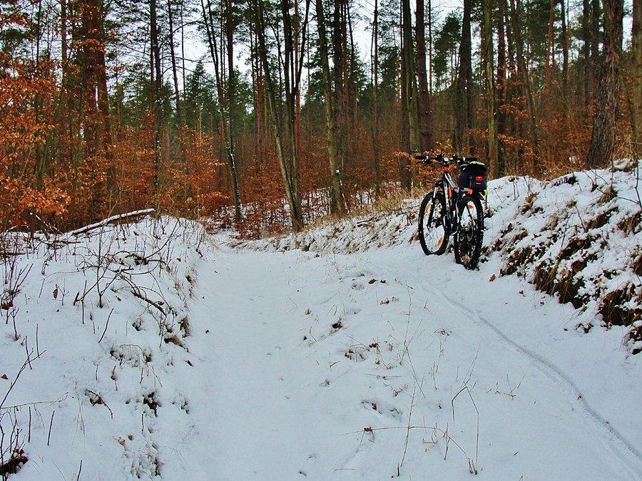 Zimowe klimaty - okolice Tczewa
