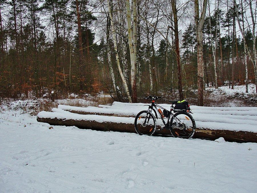 Zimowe klimaty - okolice Tczewa