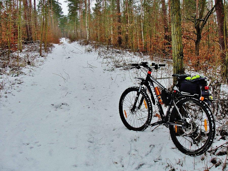 Zimowe klimaty - okolice Tczewa