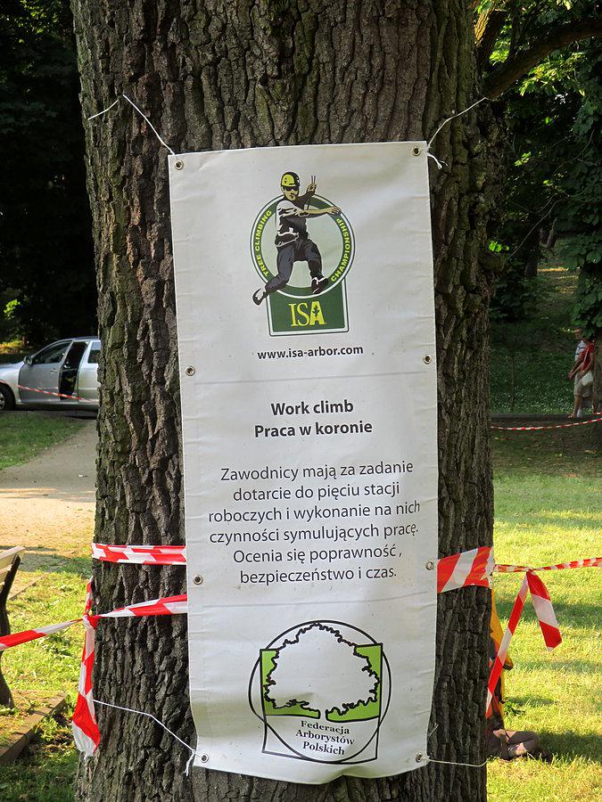 Mistrzostwa Polski we Wspinaczce Drzewnej w Nałęczowie