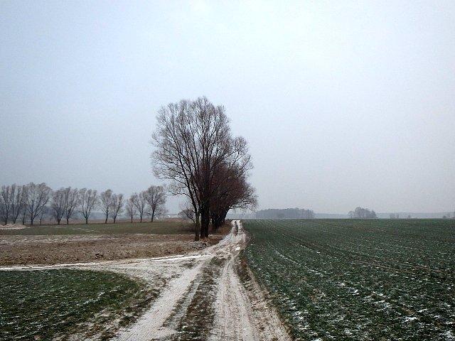Szubin-Wieś - przez pola