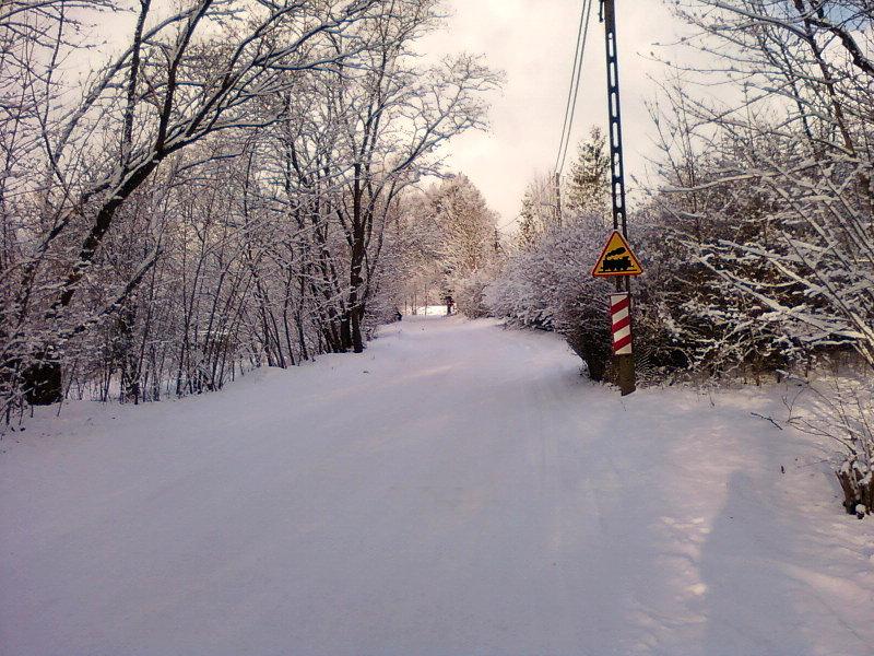 Ul. Liściasta